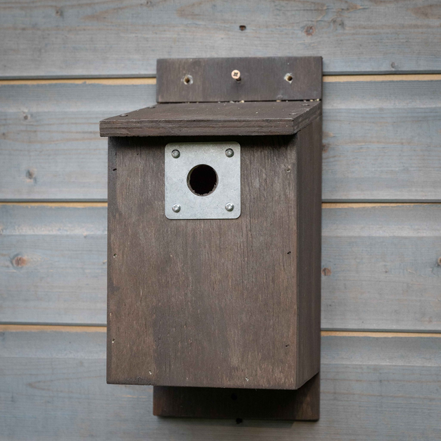 Nest Box - 25mm Nest Box for Blue Tit / Coal Tit