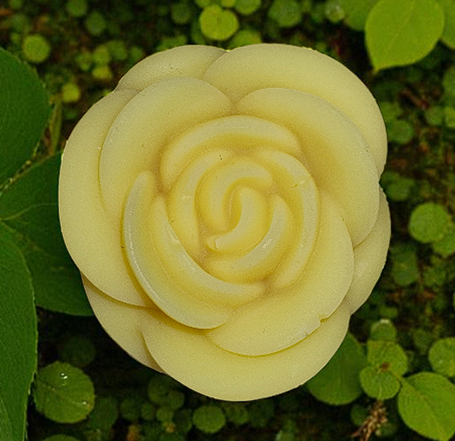 Fondant parfumé "Vanille épicée"