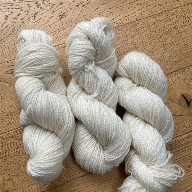 Wensleydale Merino