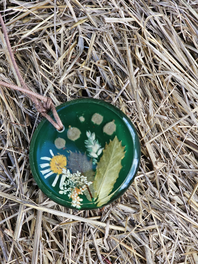 Campreste verde