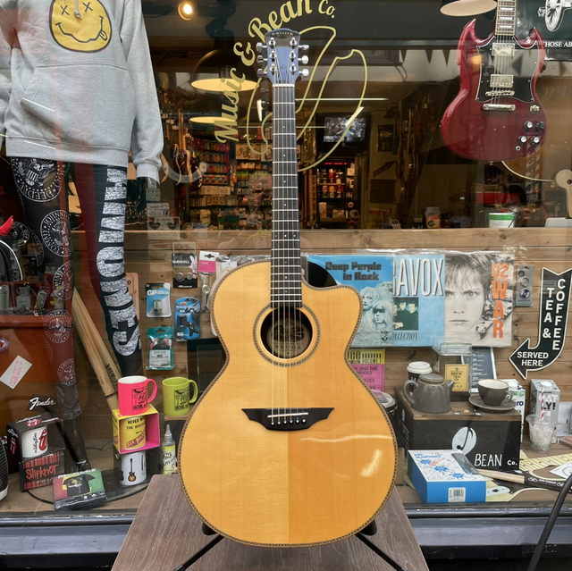 Brook Taw Cutaway 2009 model with Pickup - Pre Owned 