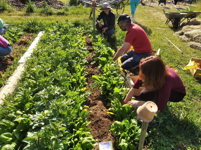 Carnet de 9 séances pour la saison complète
