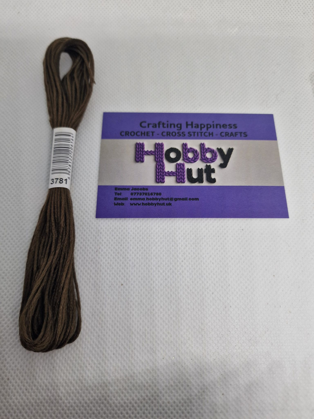 Embroidery Thread - 3781