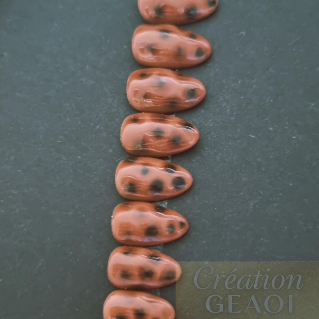 Tortoise Little Rond xs sur commande délai de 7jours ouvrable