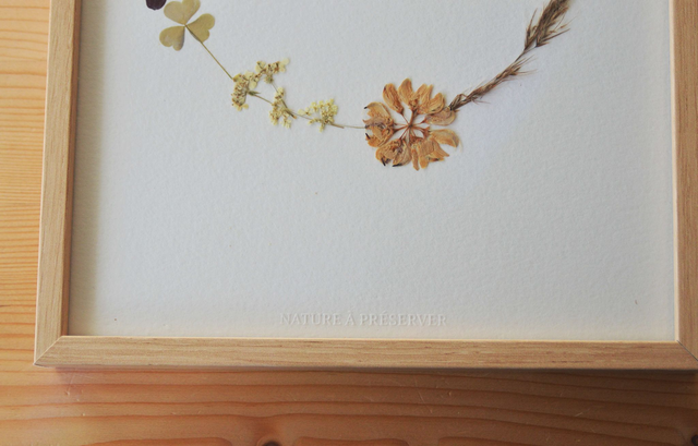 Tableau 18*24 cm - Herbier couronne