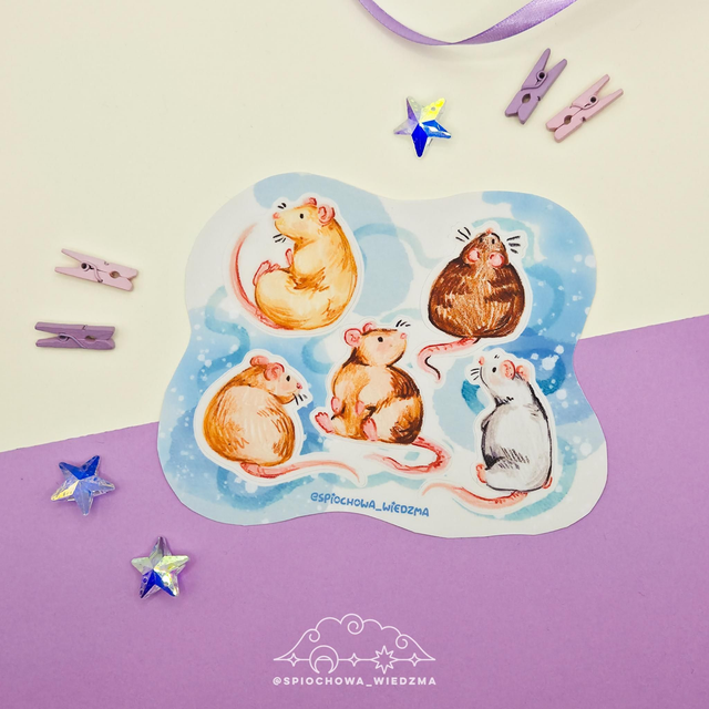 Szczurki | ZWIERZĘTA