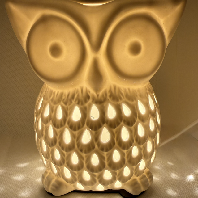 Owl Electric Burner