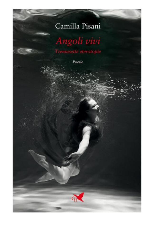 Angoli vivi. Trentasette eterotopìe - di Camilla Pisani