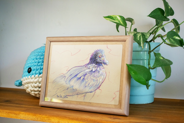 Rei del causses - Crayon de couleur - 13x18 cm