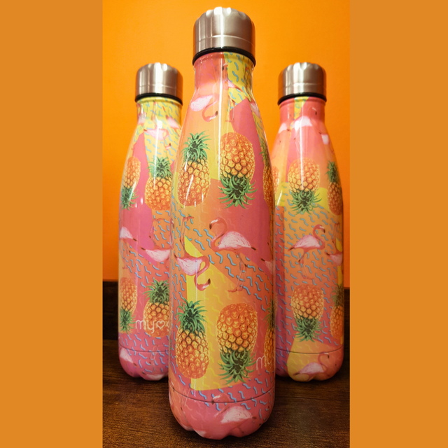 Metal 500ml Reusable Water Bottle - Tropical