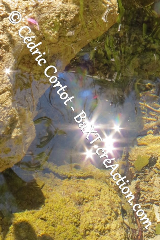 Impression sur alu dibond - Reflets et cours d'Eau (ref 5969)