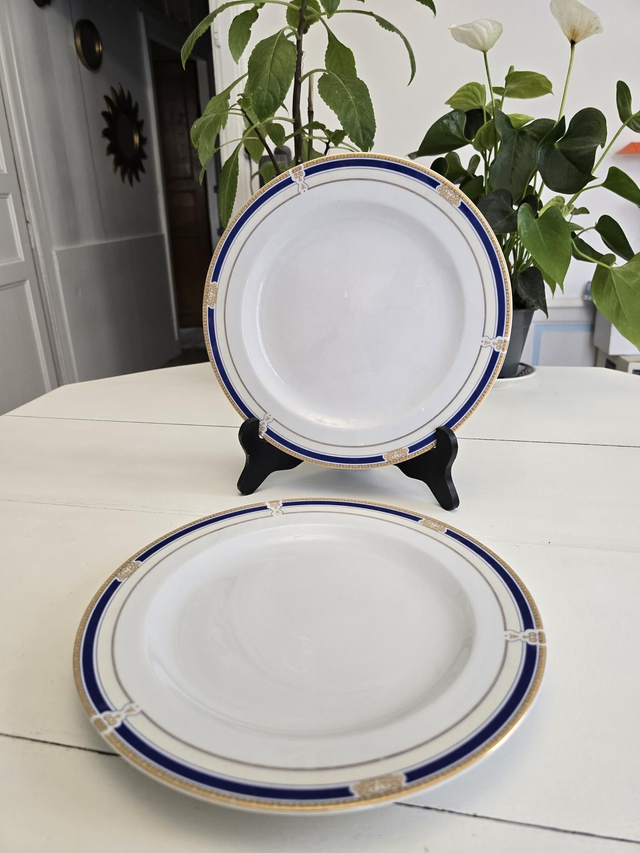 Assiettes plates Ligne Hôtesse 