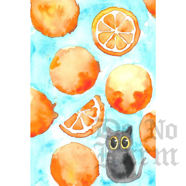 'Oranges' Black Cat Watercolour Art Print (6x4)
