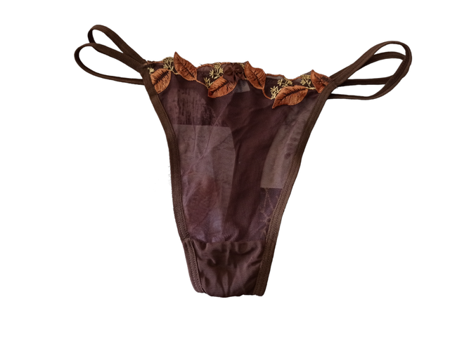 String M (Albauria Tersura)