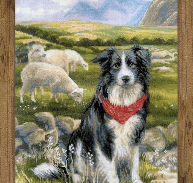 Border Collie Cross Stitch by Riolis