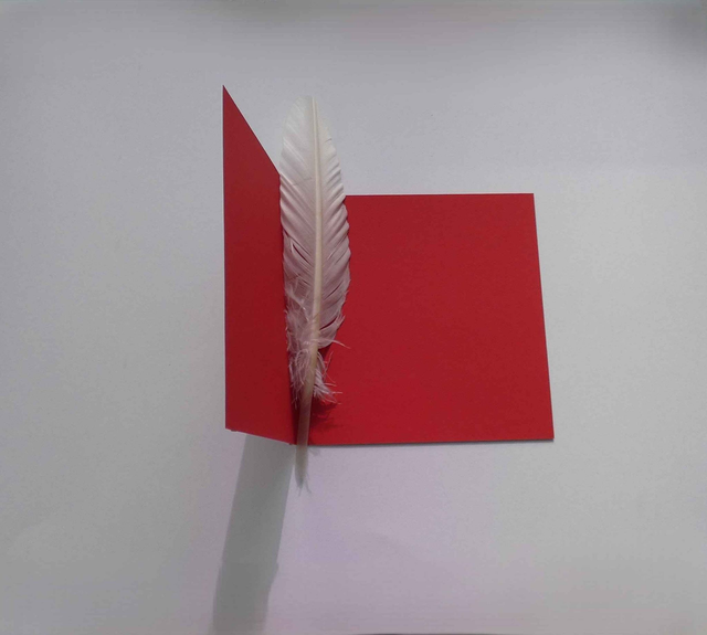 L'étoile filante des fêtes de fin d'année