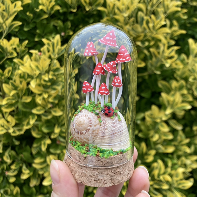 Escargot et champignons rouges