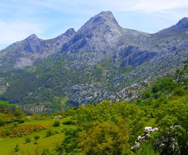 Pico Chamizo y Cruz de Camarolo