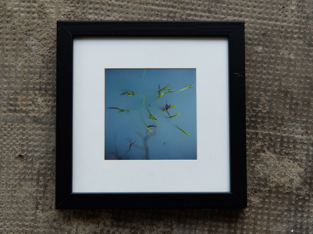 Fossé laiteux - 11x11