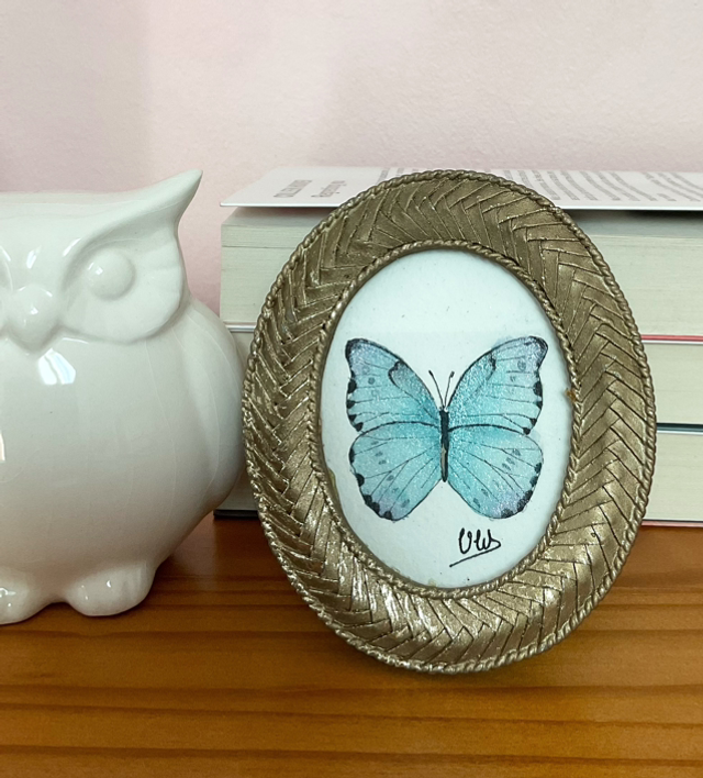 Papillon bleu irisé dans son cadre miniature doré