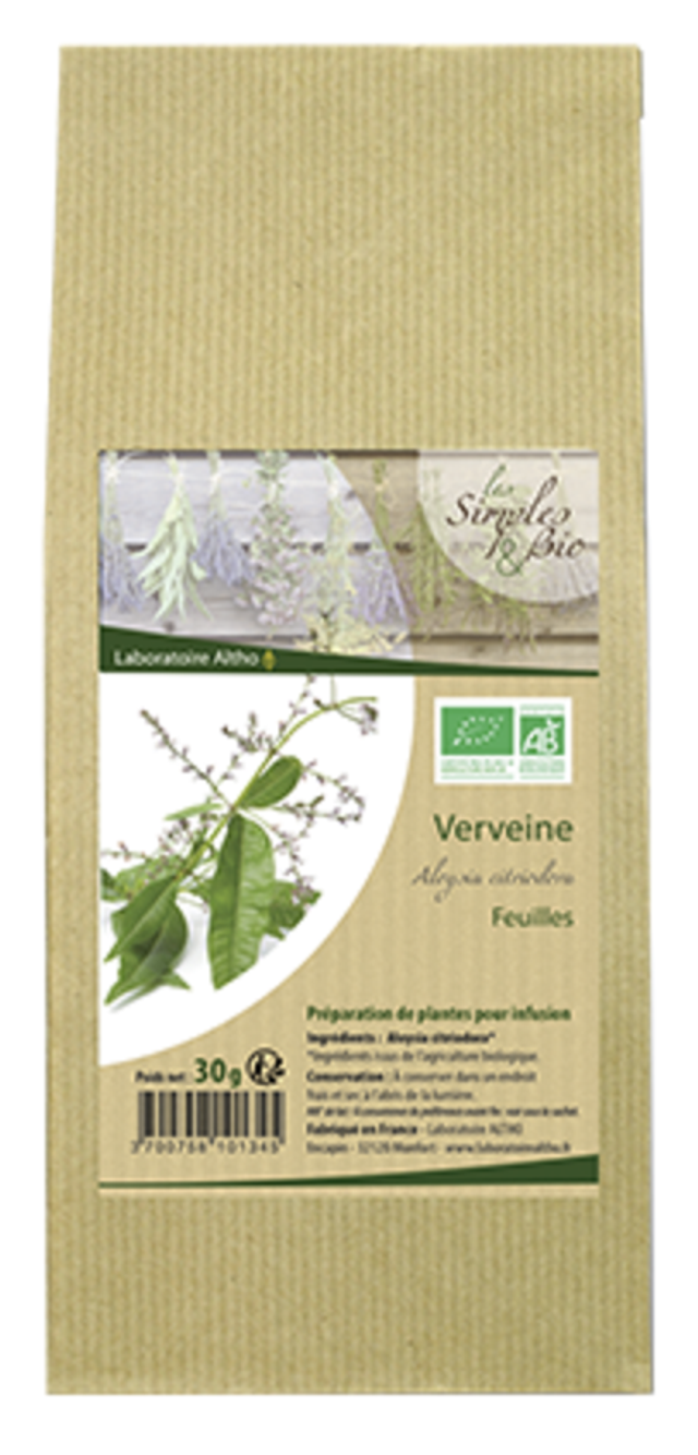 Plante verveine