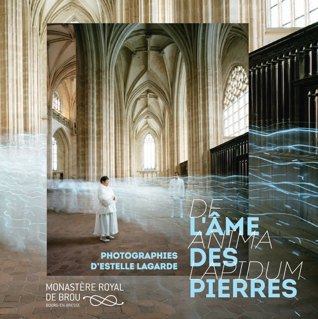 De anima lapidum, l'âme des pierres