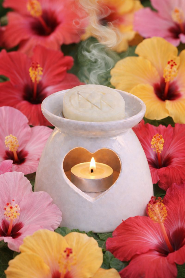 HIBISCUS GALET FONDANT 15g