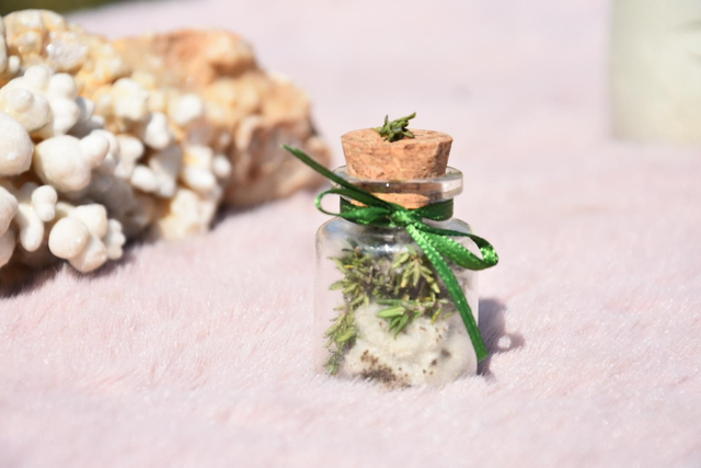 Fiole douceur végétale 