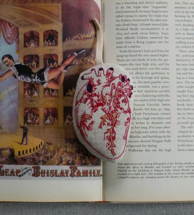 Anatomical Hanging Cotton Heart