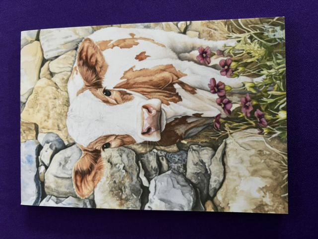 Plain Note Pad Cow at Stone Wall