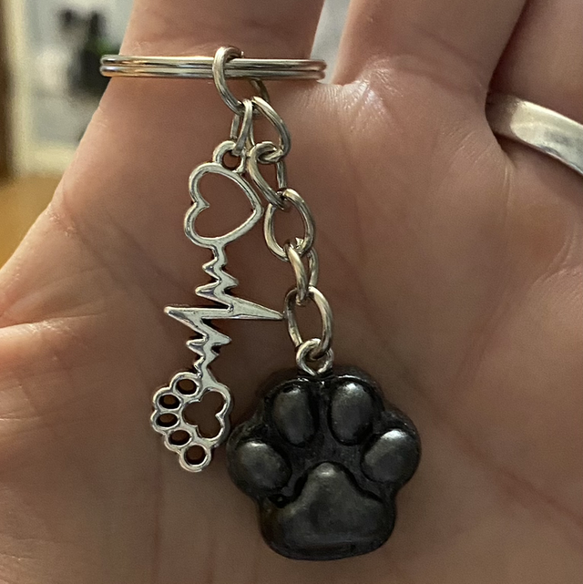 Ashes to resin paw key ring