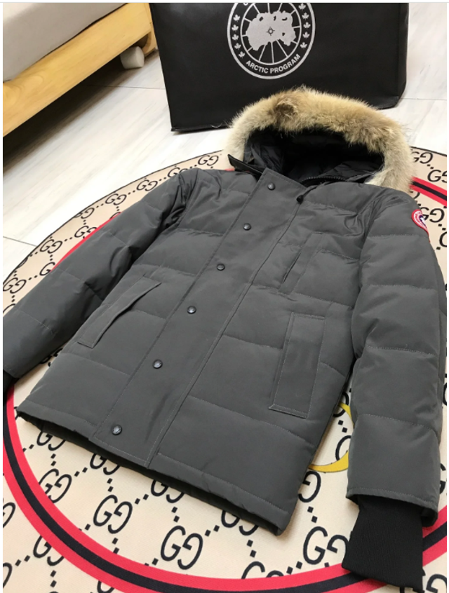 Canada Goose Veste Doudoune - grise