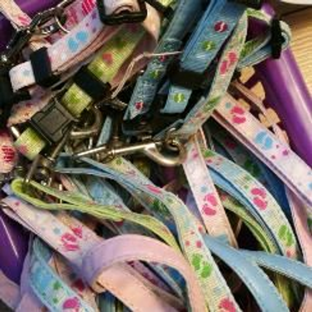 puppy collar and lead sets
