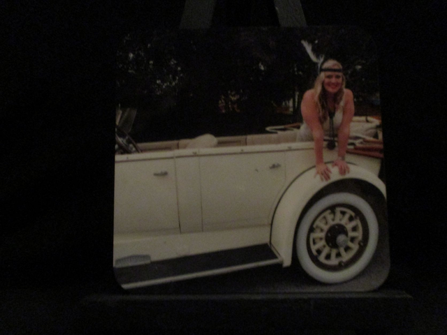 Nicole Faraday Coaster (2)