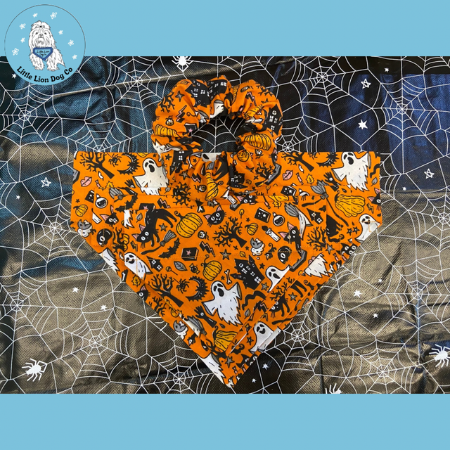 All Howl-ows Eve Handmade Dog Accessories 