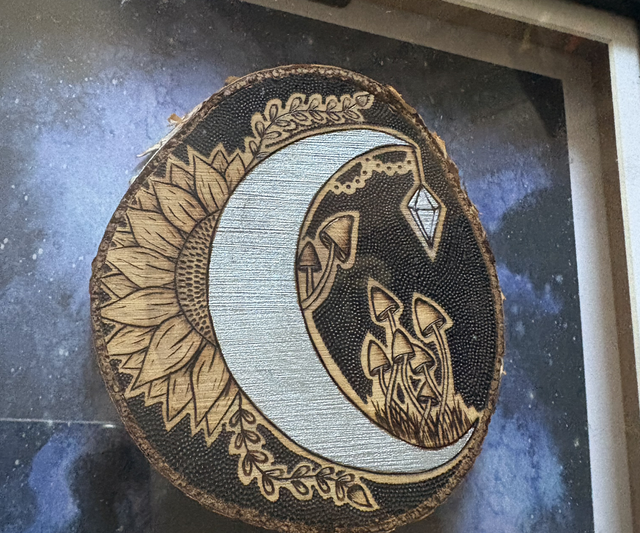 Hand burnt moon, mushrooms & flower silver birch slice in a box frame
