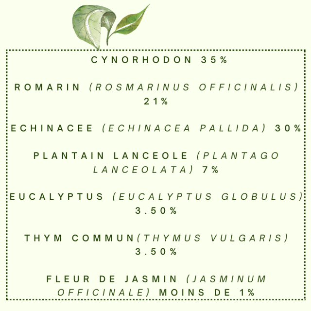 Tisane "Sérénité d'Hiver" Défenses immunitaires