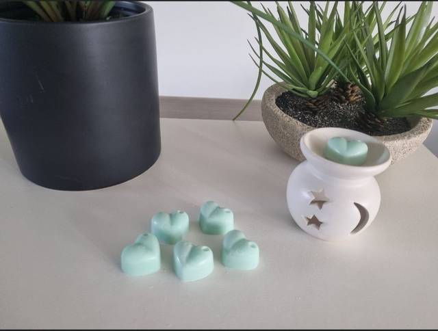DIGITAL AMAZONIA fondants parfumés + brule parfum blanc