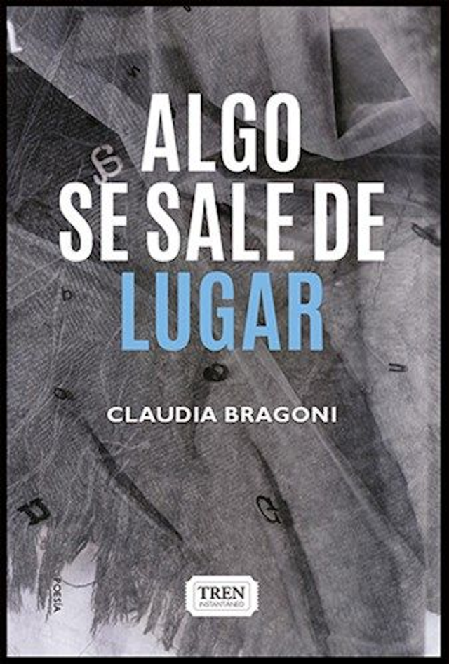 Algo se sale de lugar - Claudia Bragoni