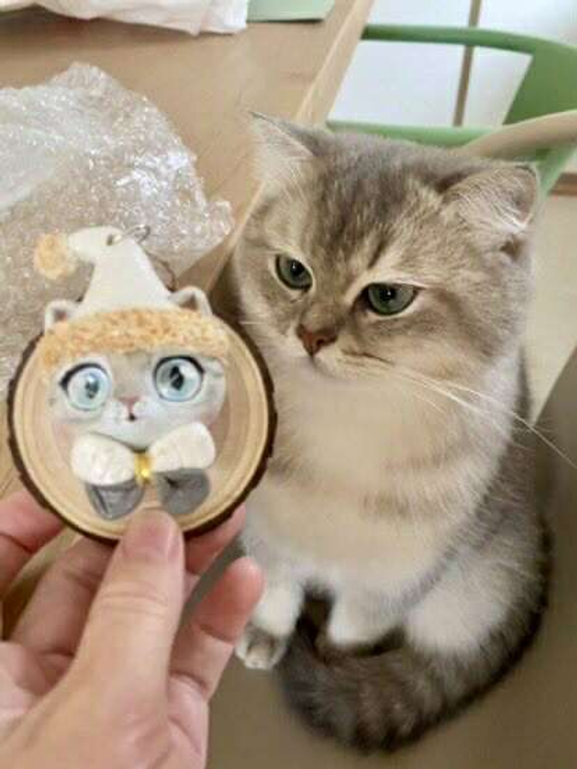 Noël Portrait de mon animal