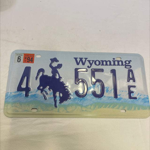 plaque d’immatriculation décorative 