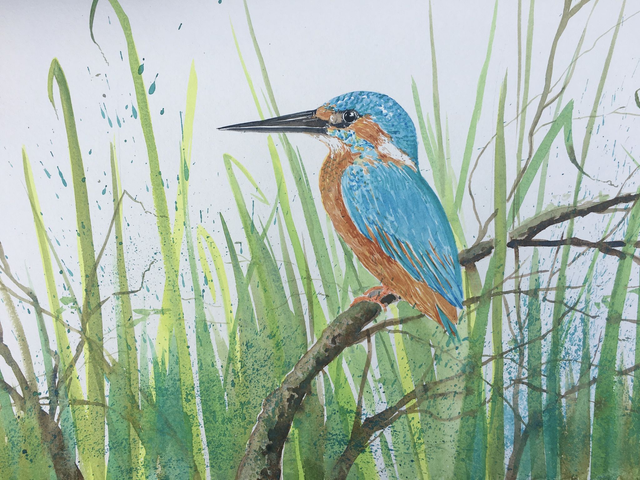 Colourful kingfisher 5th March 2026 watercolour workshop at Clonterbrook studio 