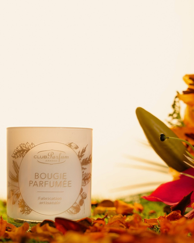 Bougie parfumée FLEUR DE COTON 160g