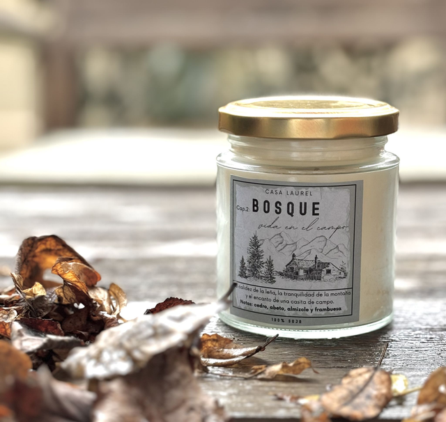 Cap.2: Bosque. Vida en el campo