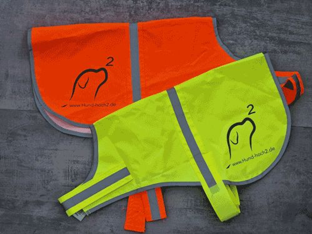 Reflektierende Hunde-Sicherheitsweste