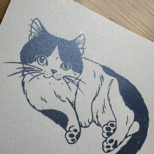 Cats at Play - Cuddle Time?