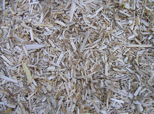 lettiera di canapa sfusa 1 kg