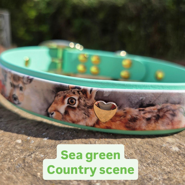 25mm Sea green 2 layer country scene - to fit 18-20 inch neck