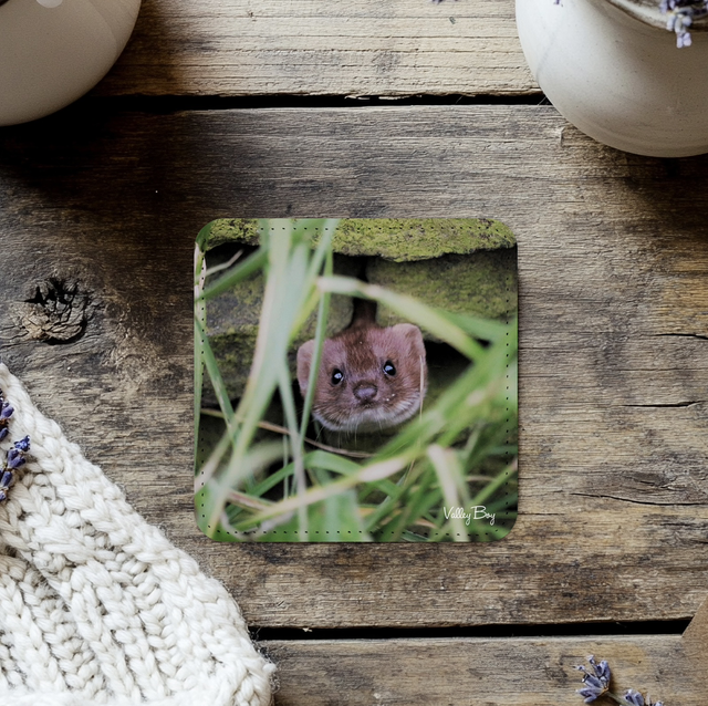 “Pop Goes the Weasel” Coaster