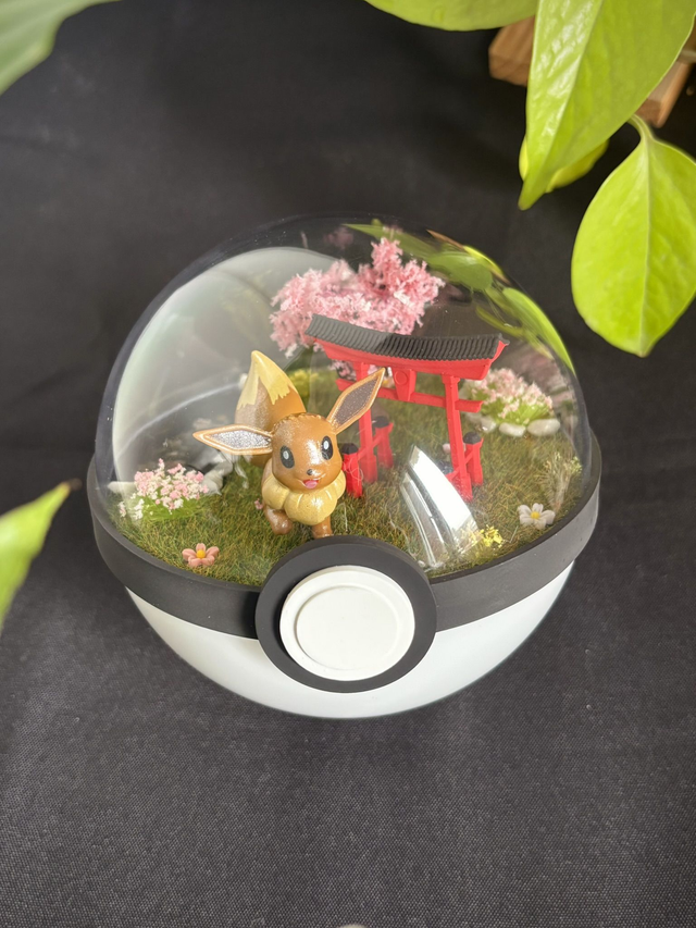 🌸 Terrarium Pokémon - Édition Japon -  Evoli 